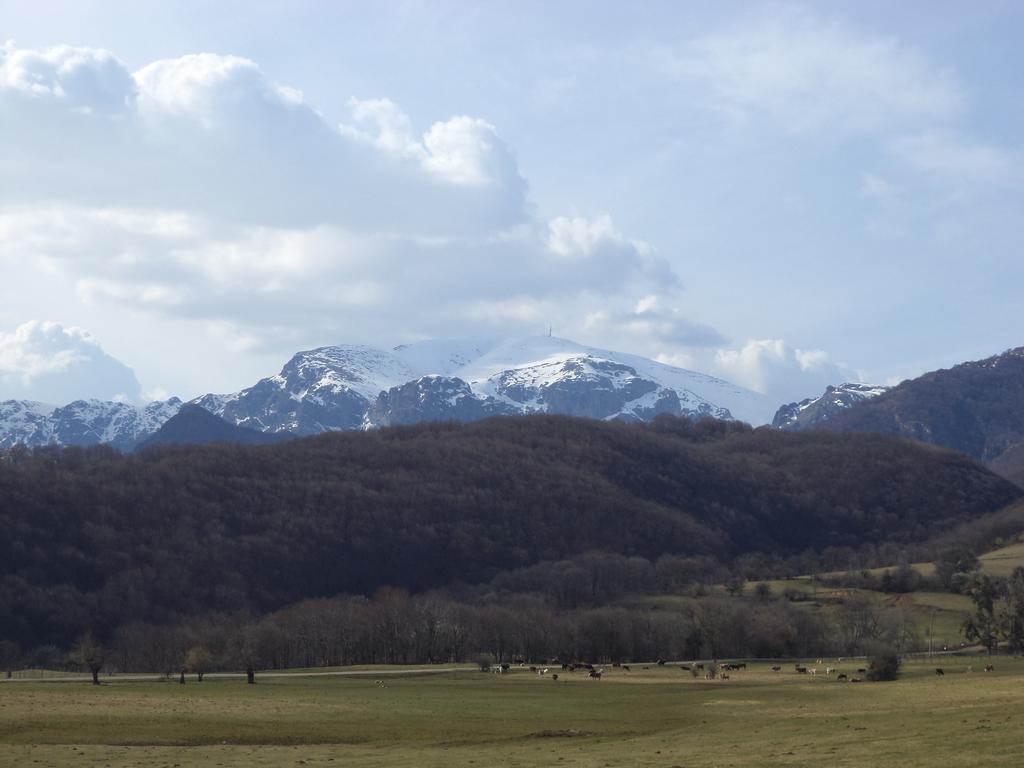 Guest House Stara Planina Калофер Екстериор снимка